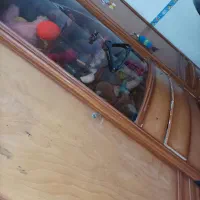 کمد لباس|جاکفشی، کمد، دراور|بندر دیر, |دیوار