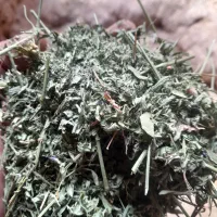 گل یونجه وشبدر|لوازم جانبی حیوانات|نهاوند, |دیوار