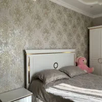 کاغذ دیواری وارداتی A+|مصالح و تجهیزات ساختمان|اهواز, زیتون کارمندی|دیوار