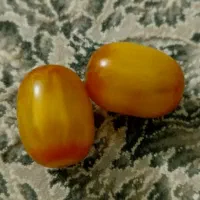 دوتا مهره