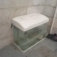 آکواریوم در حد