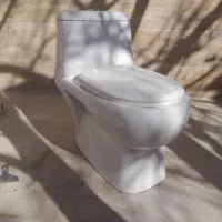 توالت فرنگی