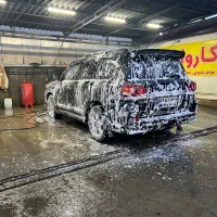 استخدام نیروی کارواش