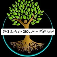 اجاره کارگاه صنعتی 260 متر سالن موقعیت عالی|اجارهٔ دفتر صنعتی، کشاورزی، تجاری|اسلامشهر, شهرک سالور|دیوار