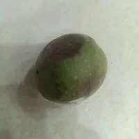 فروش پوست گردو