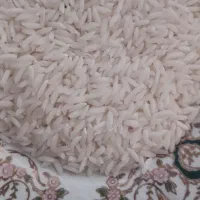 فروش برنج هاشمی درجه یک|عمده‌فروشی|لشت نشا, |دیوار