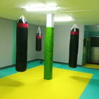 آموزش تخصصی کیوکوشین کاراته آقایان وبانوان|خدمات آموزشی|مشهد, تربیت (صدف)|دیوار