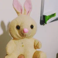 فروش عروسک های پشمی با تخفیف ۲۰%|اسباببازی بچه|سرپل ذهاب, |دیوار