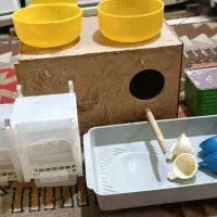 لوازم جانبی پرنده|لوازم جانبی حیوانات|تهران, افسریه شمالی|دیوار