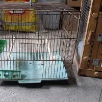 قفس 5 تاش فقط 1/100