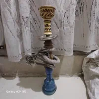 کفتر کبوتر  معاوضه با کفتر