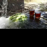 باغ میوه و ویلا در دینور قابل معاوضه|فروش دفتر صنعتی، کشاورزی، تجاری|دینور, |دیوار