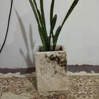 فروش انواع گلدان های سنگی