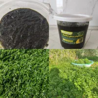 محصولات خانگی ارگانیک