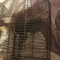 قفس|لوازم جانبی حیوانات|شیراز, کوشک میدان|دیوار