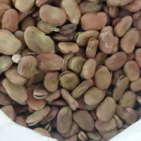 کود مواد سم|خدمات باغبانی و درختکاری|حمیدیه, |دیوار