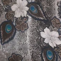 پارچه چادری|لباس|ابهر, |دیوار