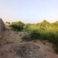 فروش باغچه/برق آب تصفیه/رو ب رو ترمینال|فروش دفتر صنعتی، کشاورزی، تجاری|دزفول, |دیوار