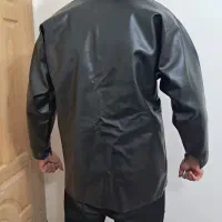 کاپشن چرم مردانه|لباس|تربت‌حیدریه, بالا ولایت|دیوار