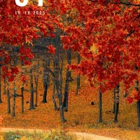 سرویس و کارپرداز مراکز و شرکت ها