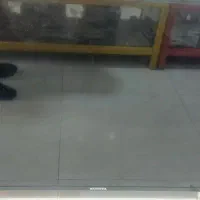 تلوزیون