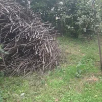 هیزم خشک برای بخاری و شومینه دو نیسان|بخاری، هیتر، شومینه|تالش, جوکندان|دیوار