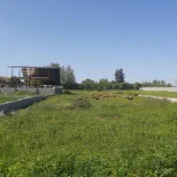 ویلایی نیمه کاره ((فوری زیر قیمت))|پیشفروش املاک|فرح آباد, |دیوار