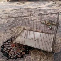 قفس سالم .مناسب  طول ۵۰. عرض ۳۲ . ارتفاع ۳۵