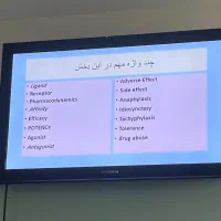 معلم زبان انگلیسی آنلاین