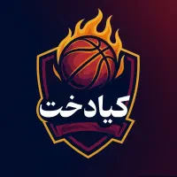 آموزش تخصصی بسکتبال