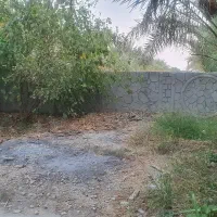 زمین-مناسب-خونه-باغ-پشت-تربار