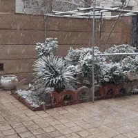 به-یک-همخانه-خانم-محترم