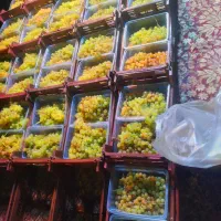 انگور بیدونه