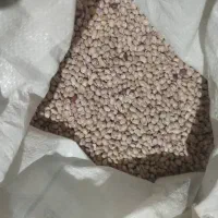 لوبیاچیتی درجه۱عالی|خوردنی و آشامیدنی|شیراز, عادل آباد|دیوار