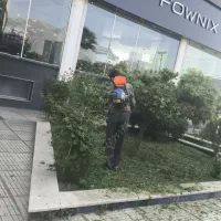 انجام تمامی خدمات باغبانی و فضای سبز ومحوطه|خدمات باغبانی و درختکاری|شیراز, شهرک گلستان|دیوار