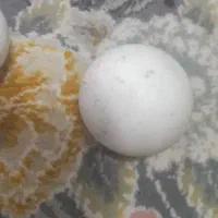 سنگ اسیاب الماس