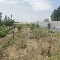فروش زمین ۳۰۰ متری در قاسم‌آباد|فروش زمین و ملک کلنگی|تهران, قاسم‌آباد|دیوار
