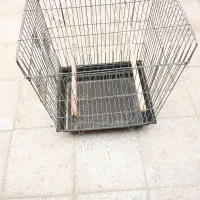 قفس