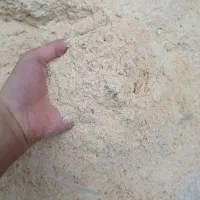 خاک اره کیلو ۱۰ تومن جاده فیلستان
