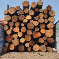 خریدار چوب و درخت