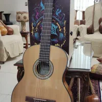 گیتار ریچارد بونل HC825 (پایین ترین قیمت)