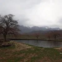 فروش ملک وزمین وساختمان|فروش دفتر صنعتی، کشاورزی، تجاری|سلفچگان, |دیوار