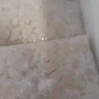 ماهی و میگو|ماهی|قشم, |دیوار