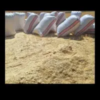 کاه سیاه دانه یا ماشک