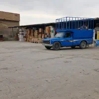 کارمند خانم. آشنا به وورد و اکسل