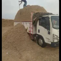 کاه نیشکر جایگزین کاه گندم ارزان و بصرفه|حیوانات مزرعه|آمل, |دیوار