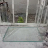 اکواریم شیشه خم