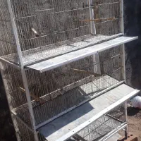 سه تبقه قفس