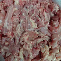 مرغ و گوشواره