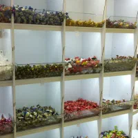 قفسه دیواری